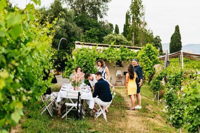 Dinner in the vineyard French Riviera - Key Points