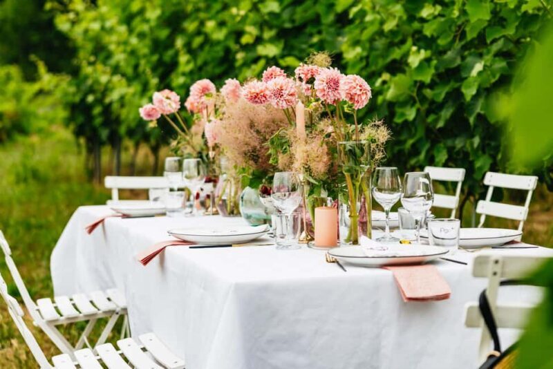 Dinner in the vineyard French Riviera - A Closer Look at What You Can Expect