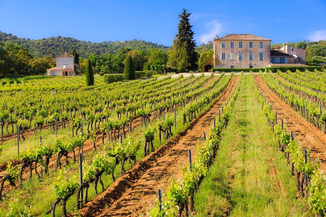 Dinner in the Vineyard Saint Tropez - Key Points