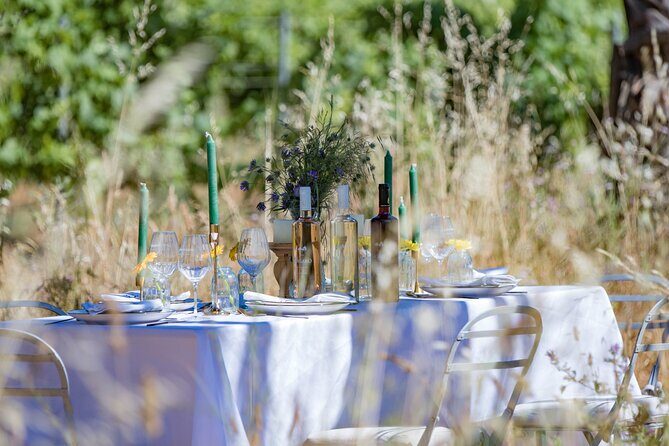 Dinner in the Vineyard Saint Tropez - Is This Tour Right for You?