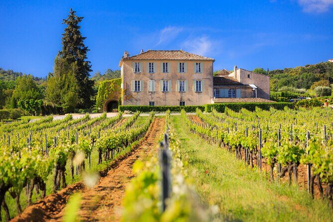 Dinner in the Vineyard Saint Tropez - FAQ