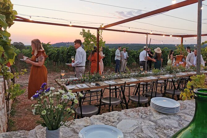 Dinner in the vineyard with wine tasting and walk - Introduction