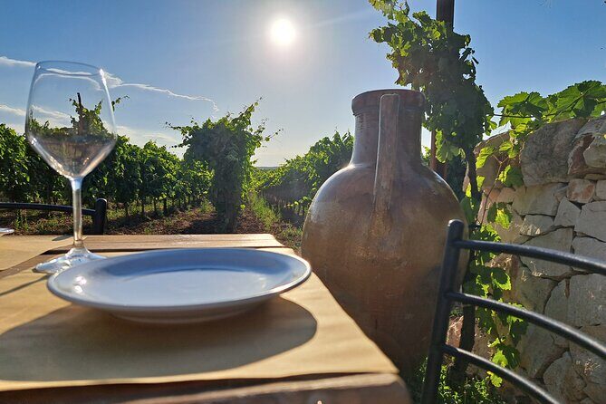 Dinner in the vineyard with wine tasting and walk - Who Should Consider This Tour?