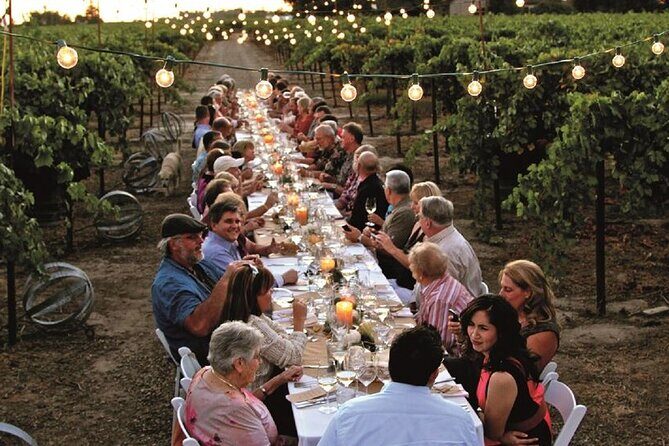 Dinner in the Vineyards - Key Points