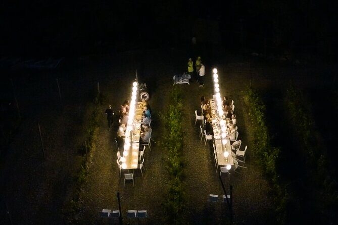 Dinner in the Vineyards - Price and Value