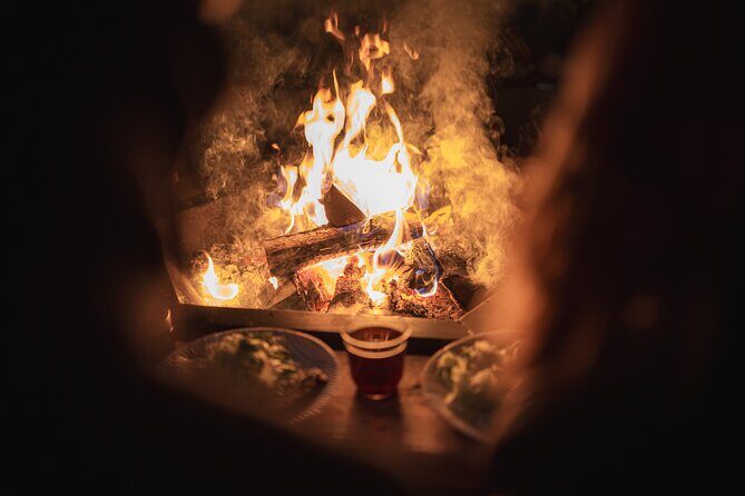 Dinner with Northern Light hunt in Rovaniemi - Key Points