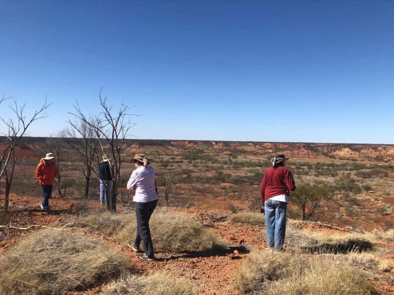 Dinosaur Stampede 3/4 Day Tour - Practical Details and Tips