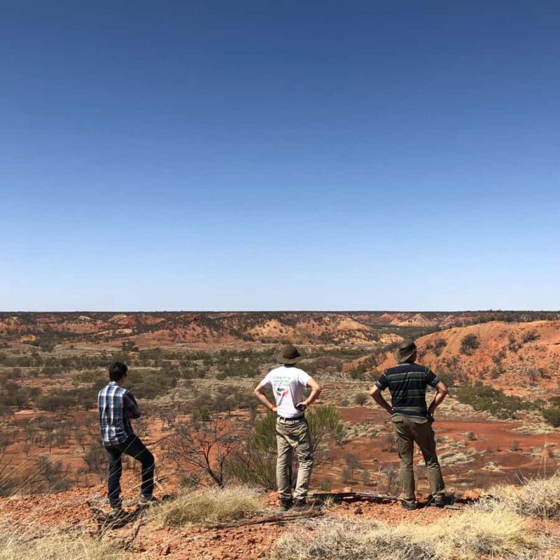 Dinosaur Stampede 3/4 Day Tour - Final Thoughts