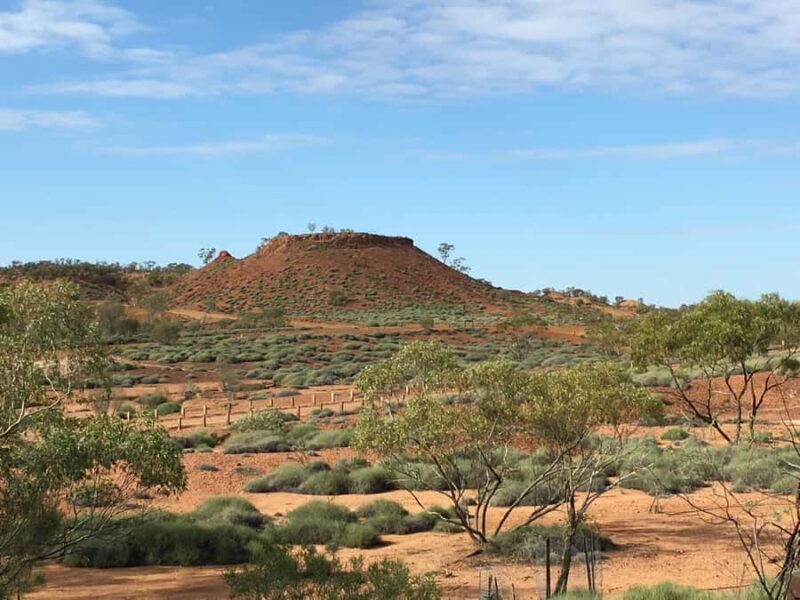 Dinosaur Stampede Half Day Tour - Dino Dash - What to Expect on the Dino Dash Tour