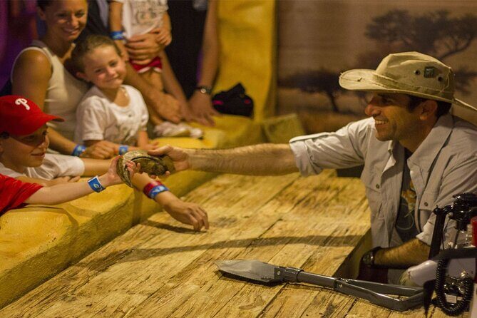 Dinosaur World Theme Park - What to Expect at Dinosaur World