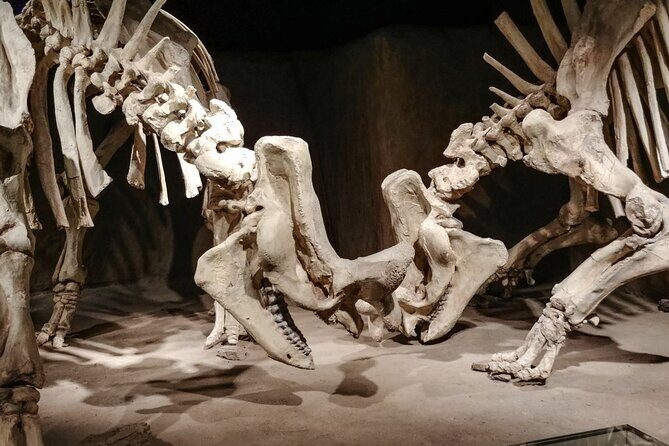 Dinosaurs, Canyons & Ghost Towns: Ultimate Drumheller Day Tour - Exploring Drumheller: What to Expect from the Tour