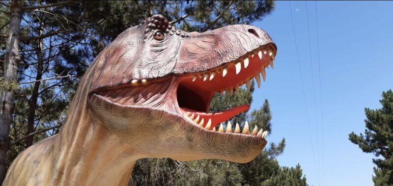 Dinosaurs Park - Family Half day tour - Key Points
