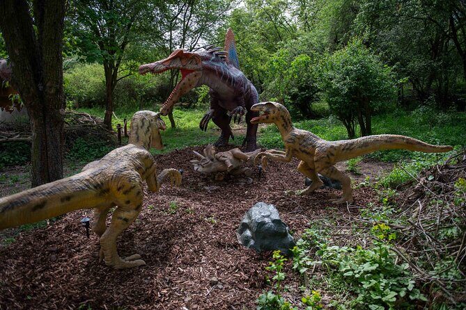 Dinosaurus amusement park - best dino experience in Prague - What to Expect During Your Visit