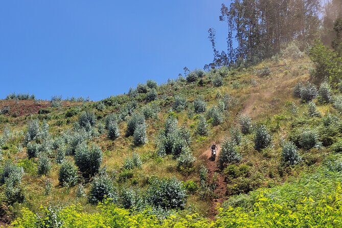 Dirt-Bike Tour in Madeira - Final Thoughts