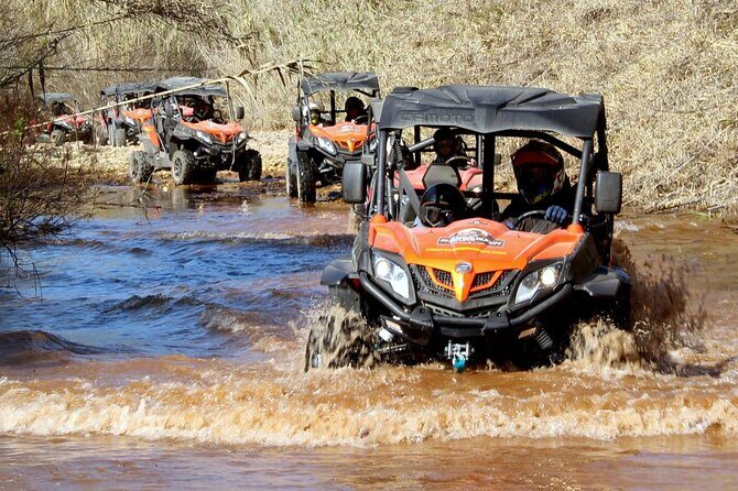 Dirt & Dust Buggy Tour - What to Expect from the Dirt & Dust Buggy Tour