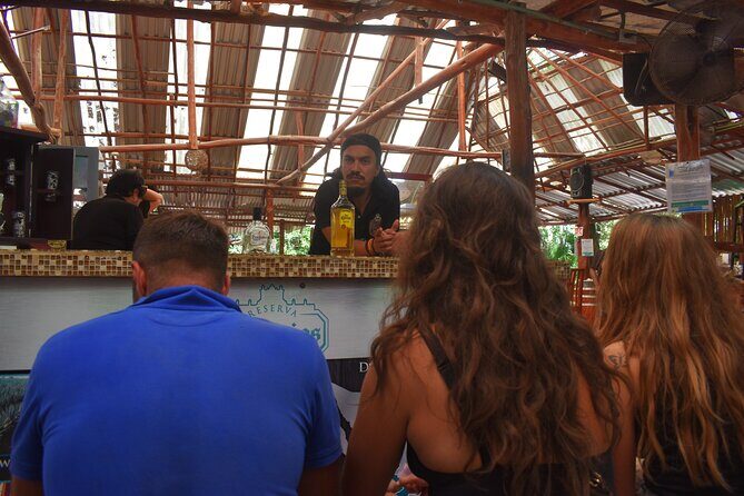 Discover 3 amazing cenotes. Includes transport & snack - Who Is This Tour Best For?