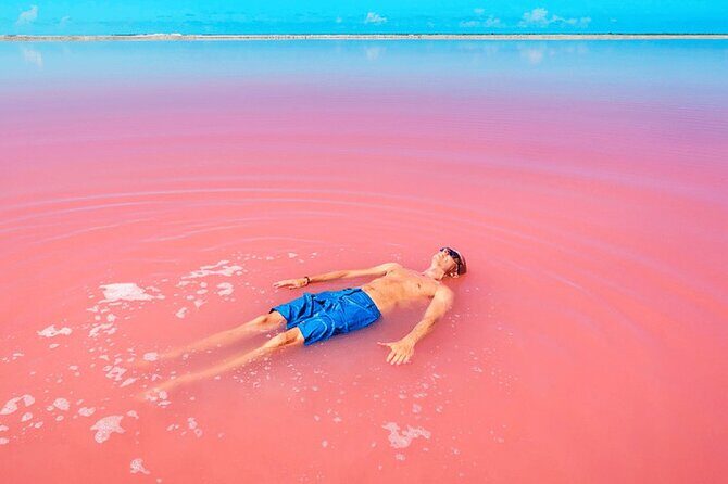 Discover a Pink Lagoon in The Coloradas with Transportation from Cancún - Is This Tour Worth It?