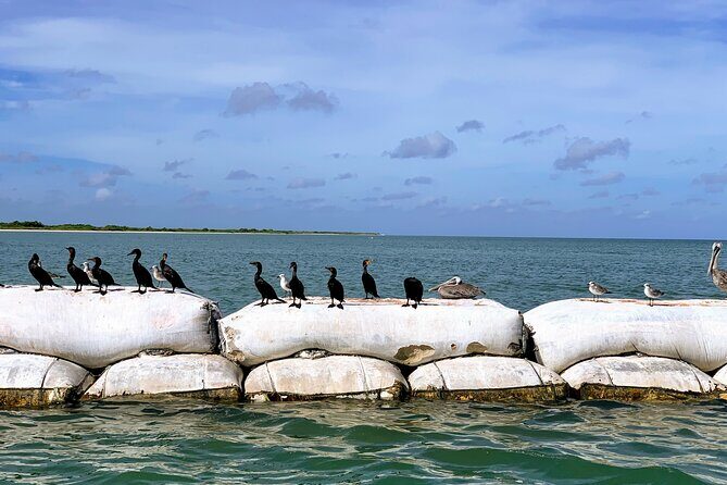 Discover a Pink Lagoon in The Coloradas with Transportation from Cancún - FAQ