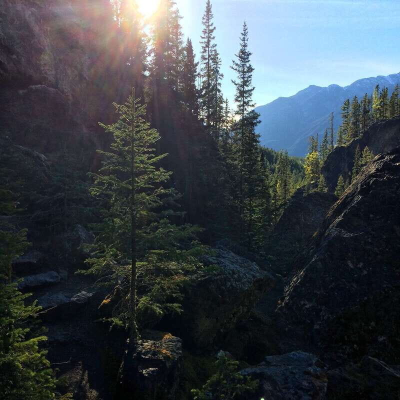 Discover Ancient Pictographs - Guided Canyon Hiking Tour 3H - Who This Tour Is Best For