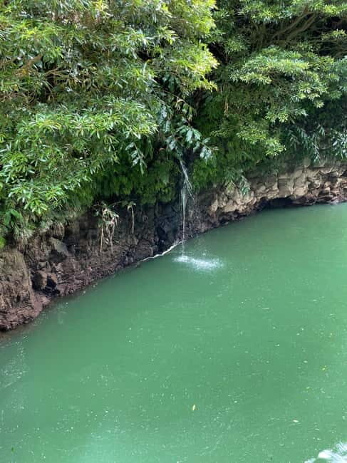 Discover and Hike São Miguel with Rúben - Key Points