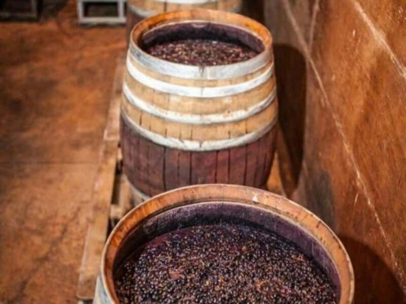 Discover Antigonea in a perfect escape from Gjirokastra - The Farm-to-Table Lunch