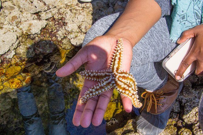 Discover Arrábida: The Secret Paradise - FAQ