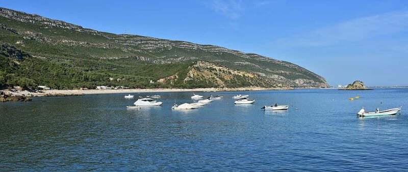 Discover Arrábida: Wine and Scenic Wonders - Scenic Drive to Setúbal (Around 40 minutes)
