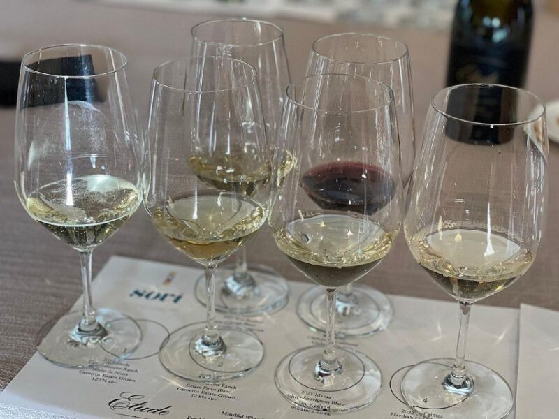 Discover Arrábida: Wine and Scenic Wonders - Vineyard Visits and Wine Tasting