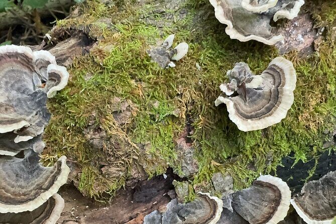 Discover Aurora Illinois Hiking Getaway - Final Thoughts