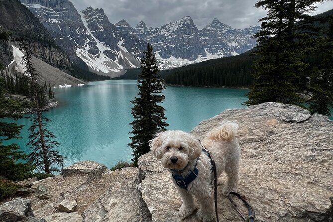Discover Banff National Park with Dog Friendly Exclusive Tour - Frequently Asked Questions