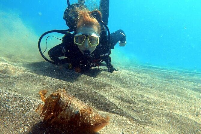 Discover beginner diving in Tenerife - FAQs