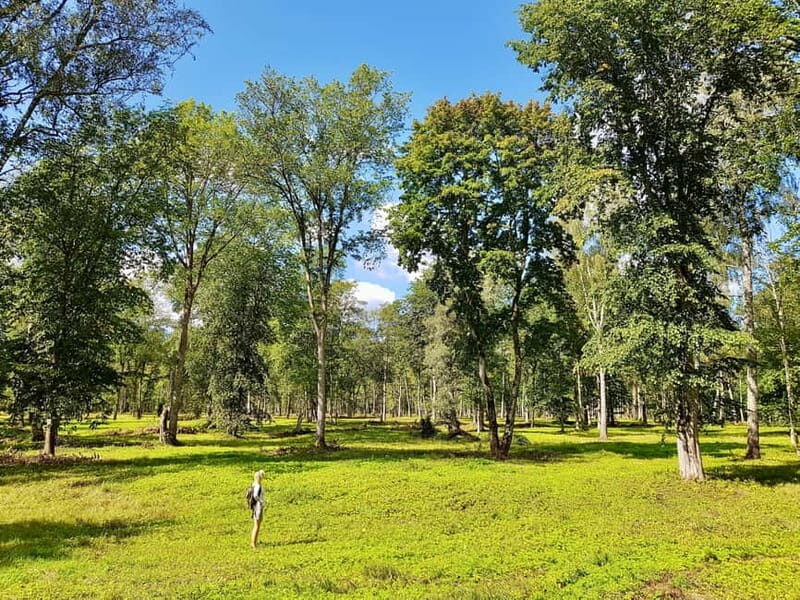 Discover Best of Sigulda and Gauja National Park In One Day - What You Can Expect from This Tour