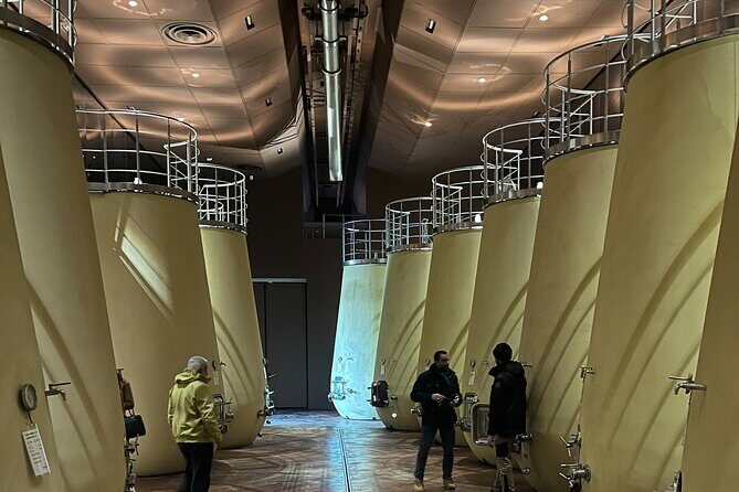 Discover Brunello Wines with DiWine Experience - What to Expect from the Tour