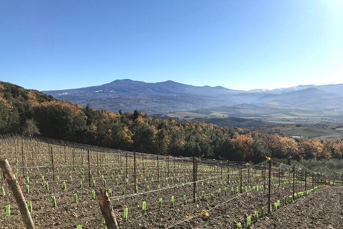Discover Brunello Wines with DiWine Experience - Final Thoughts