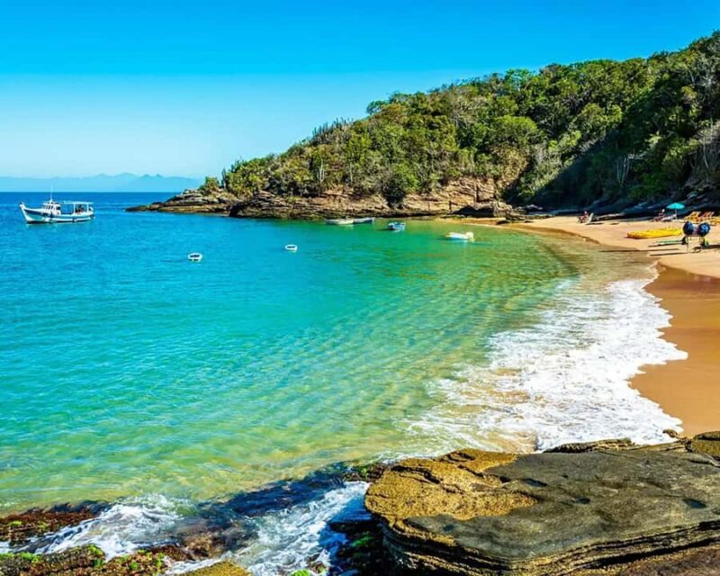 Discover Búzios Beaches and Boat Tours - Leaving from Búzios - What Travelers Say and Why It Matters