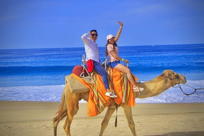 Discover Cabo San Lucas by camel ride - Price and Value
