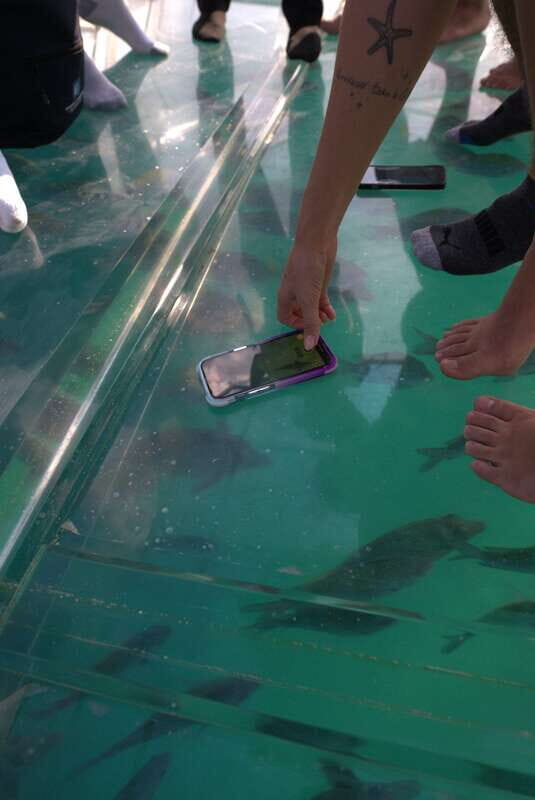 Discover Cabo San Lucas Clear Boat Glass Factory & Tequila - A Deep Dive into the Experience