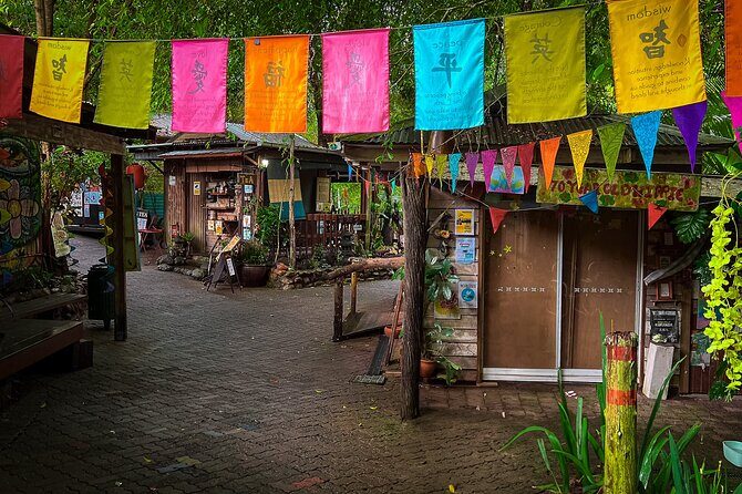 Discover Cairns Private Day tour with optional airport drop-off - The Sum Up