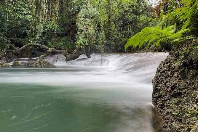 Discover Cascades & Turtle Experience with Yumi Tours - An In-Depth Look at the Tour Experience