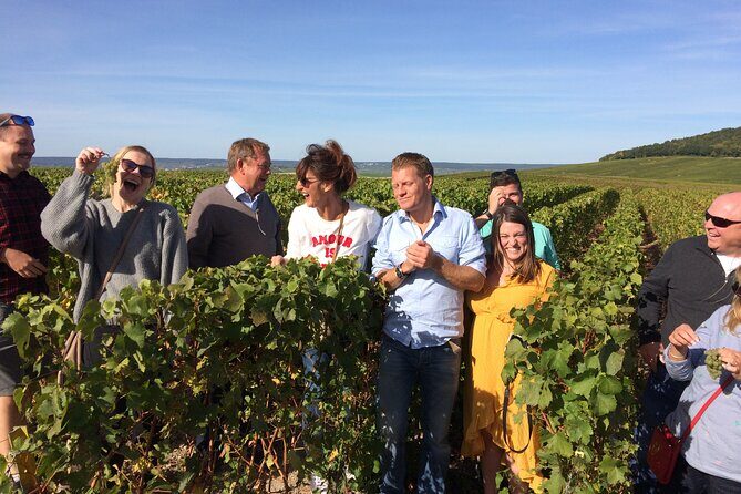 Discover Champagne in half a day in a Van - Authentic Traveler Insights from Reviews