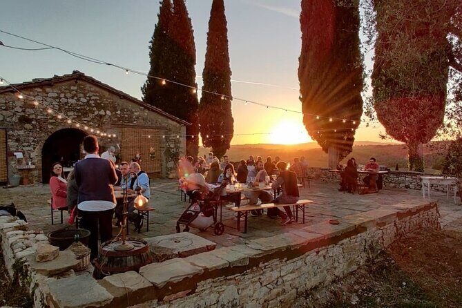 Discover Chianti Classico Wines DiWine Experience - The Downsides and Considerations