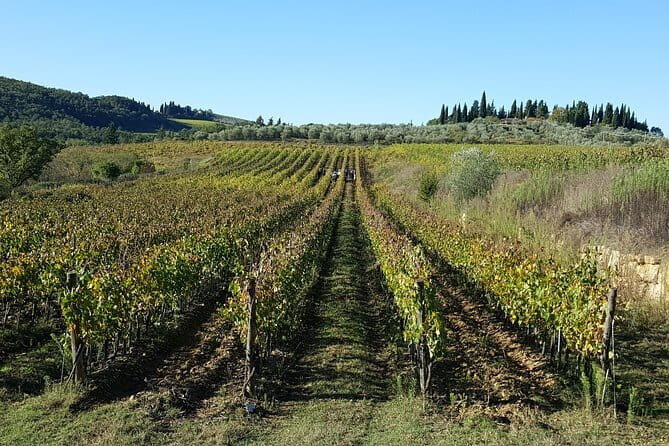 Discover Chianti Through its Wines - Key Points