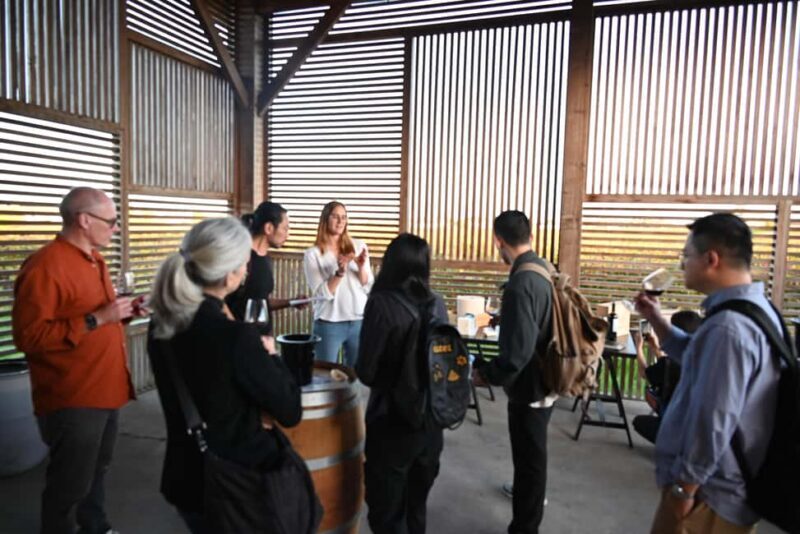 Discover Clos Systey: Organic and Biodynamic Wines in Saint-Émilion - Key Points