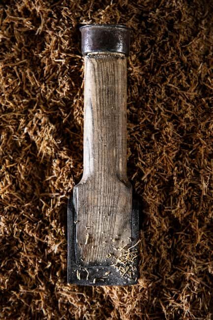 Discover cooperage in Champagne - Key Points