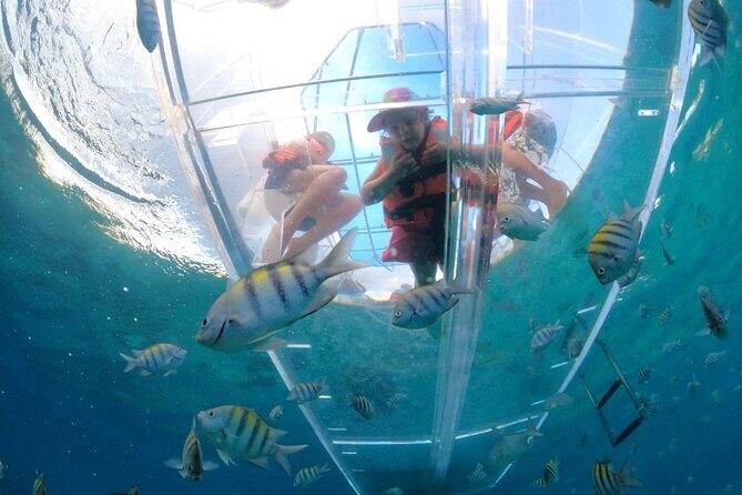 Discover Cozumel in a Transparent Boat! - Key Points