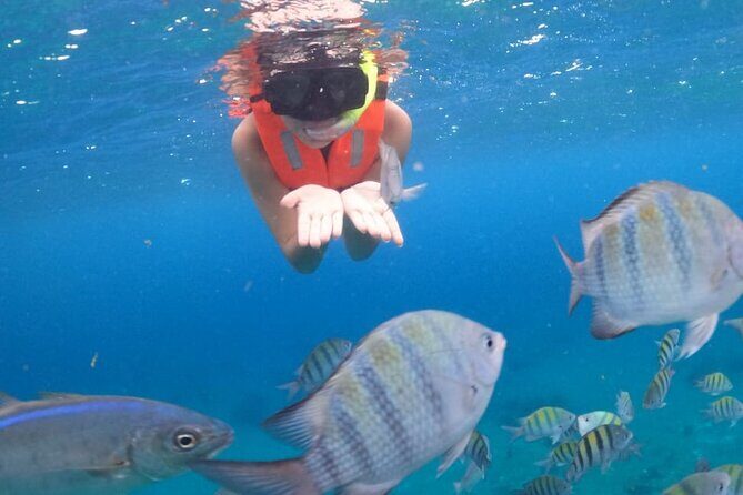 Discover Cozumel in a Transparent Boat! - Deep Dive: Is It Worth the Price?