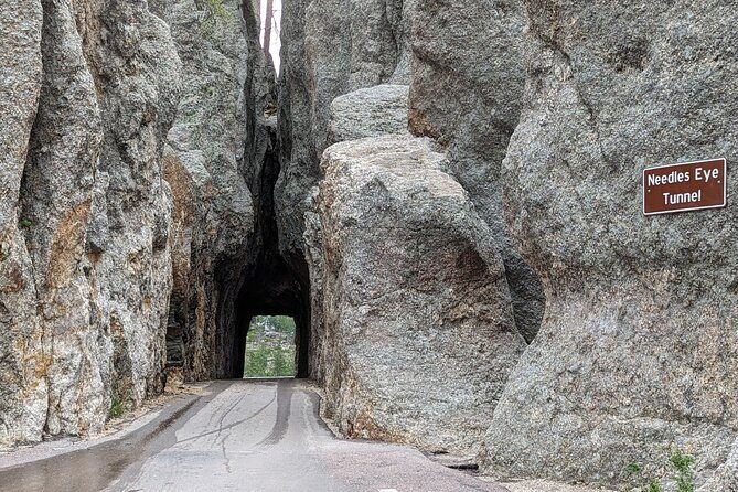 Discover Custer State Park A Self Guided Audio Driving Tour - Final Thoughts