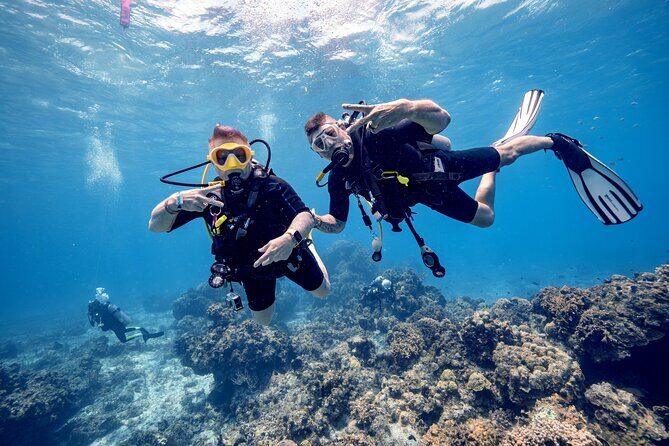 Discover Diving in the Reefs of Cozumel - An Introduction to the Experience