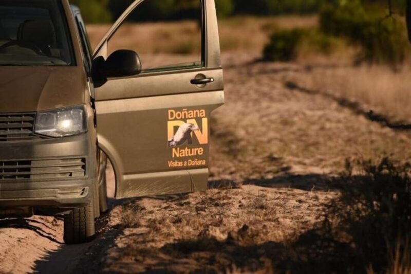 Discover Doñana & Iberian Lynx: Premium Nature Tour - Final Thoughts: Is This Tour Right for You?