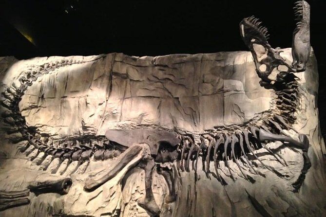 Discover Drumheller, Horseshoe Canyon, Royal Tyrrell Museum - Who Should Consider This Tour?